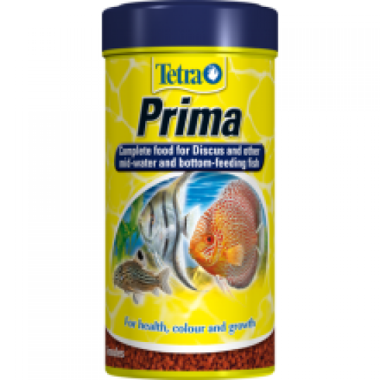 Tetra Prima