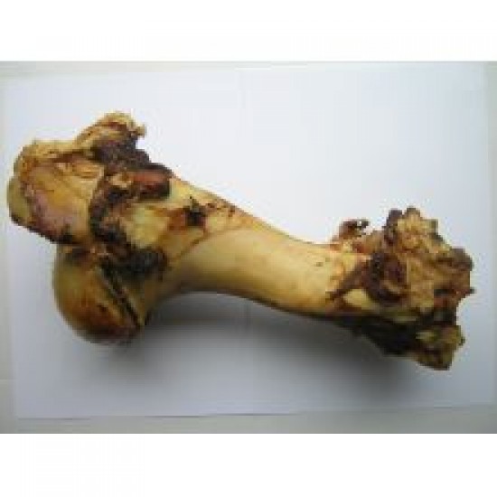 T. Forrest & Sons Roasted Whole Bone Jurassic