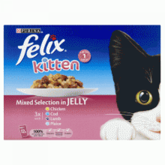 Felix Kitten Mixed Selection in Jelly 12 Pack