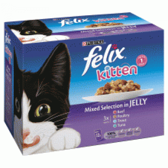 Felix Kitten Mixed Selection in Jelly 12 Pack