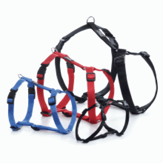 Walk 'R' Cise Black Harness Large