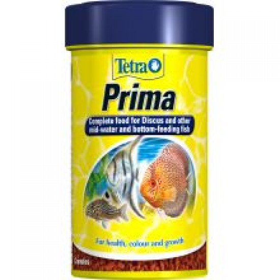 Tetra Prima