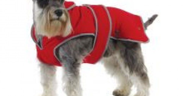 Ancol stormguard hotsell dog coat